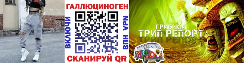 OMG маркетплейс  купить наркоту  Ужур  Галлюциногенные грибы GOLDEN TEACHER 
